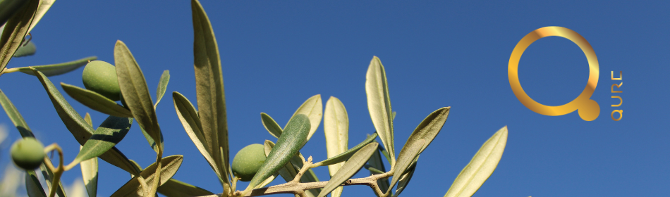 QURE - Grieķu profesionāli matu kopšanas līdzekļi profesionāļiem